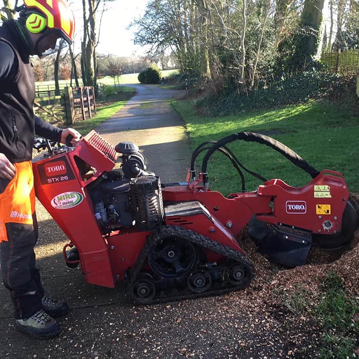 Stump grinding in Haverhill